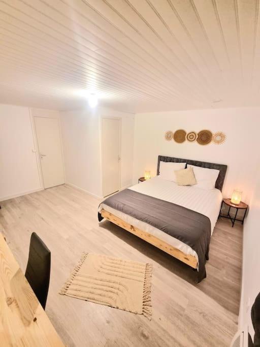 Rive-de-Gier Appartement Neuf מראה חיצוני תמונה